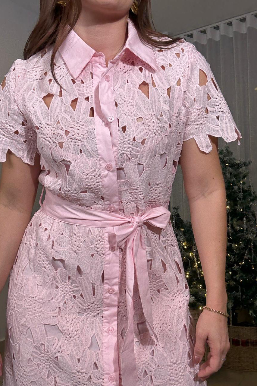 Fashion Muse Maxi Dress Pink